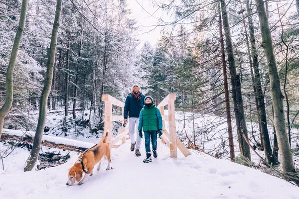 Father and son walk with dog in snow forest