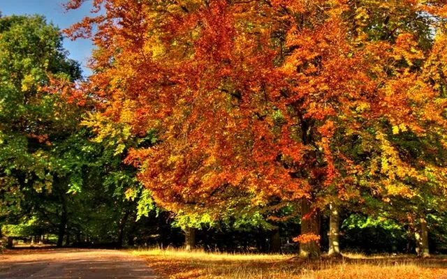 Natuur & Omgeving