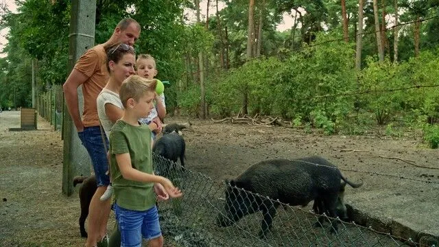 Diversiteit aan dieren