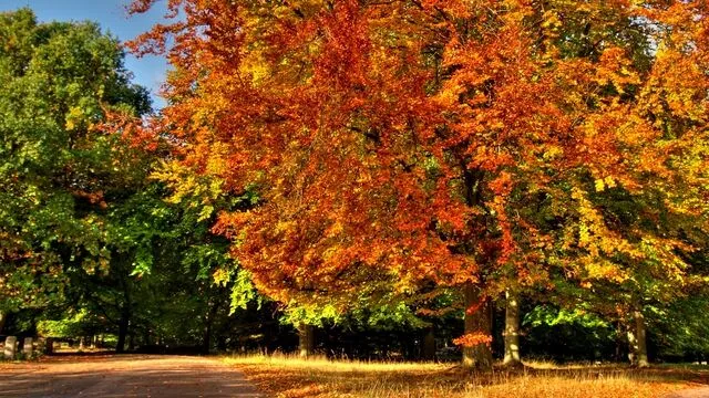 Natuur & Omgeving